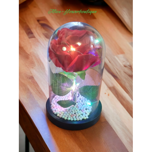Trandafir criogenat in cupola de sticla 